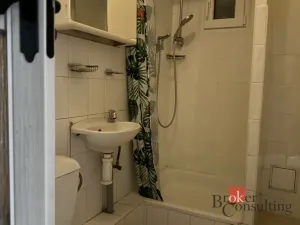 Pronájem bytu 1+kk, Praha - Střešovice, Farní, 19 m2