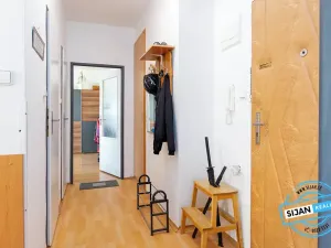 Pronájem bytu 2+1, Vítkov, Budišovská, 48 m2