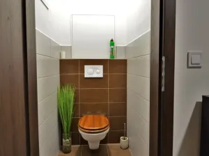 Pronájem bytu 2+kk, Olomouc, Janského, 72 m2