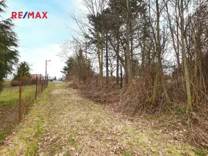 Prodej zahrady, Havířov, 1256 m2