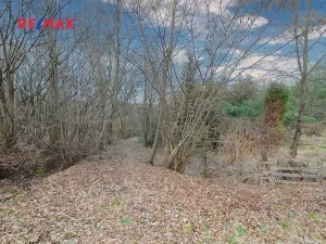 Prodej zahrady, Havířov, 1256 m2