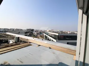 Pronájem bytu 3+kk, Plzeň, Goldscheiderova, 250 m2