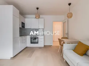 Pronájem bytu 2+kk, Praha, Ivana Hlinky, 60 m2