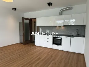 Pronájem bytu 1+kk, Praha, Nad vodovodem, 45 m2