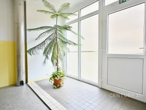 Pronájem bytu 2+1, Jáchymov, Na Slovanech, 60 m2