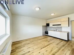 Pronájem bytu 2+kk, Radnice, Na Potocích, 49 m2