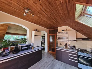 Prodej vícegeneračního domu, Brno - Černovice, Vinohradská, 350 m2