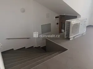 Prodej výrobních prostor, Děčín - Děčín VI-Letná, Dělnická, 1300 m2