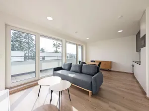 Pronájem bytu 1+kk, Mladá Boleslav, Nad Červenkou, 35 m2