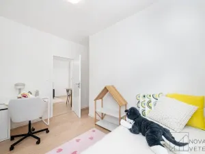 Pronájem bytu 3+kk, Praha - Žižkov, Buková, 53 m2