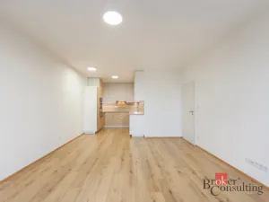 Pronájem bytu 2+kk, Plzeň - Jižní Předměstí, Železná, 73 m2