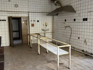 Prodej komerční nemovitosti, Kralovice, Markova tř., 600 m2