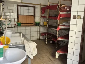 Prodej komerční nemovitosti, Kralovice, Markova tř., 600 m2