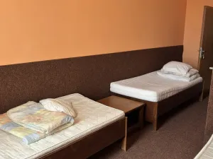 Prodej komerční nemovitosti, Kralovice, Markova tř., 600 m2