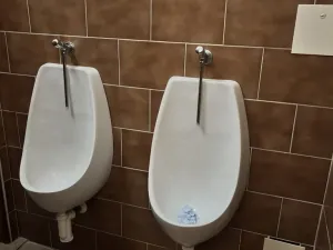 Prodej komerční nemovitosti, Kralovice, Markova tř., 600 m2