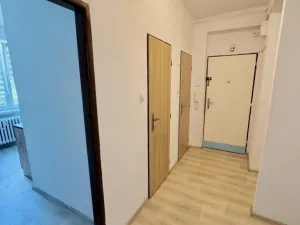 Prodej bytu 2+1, Teplice, Buzulucká, 54 m2