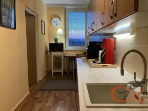 Pronájem bytu 1+1, Prostějov, Družstevní, 39 m2