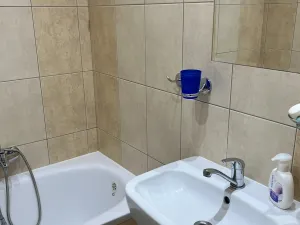 Pronájem bytu 1+1, Prostějov, Družstevní, 39 m2