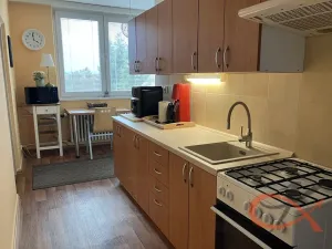 Pronájem bytu 1+1, Prostějov, Družstevní, 39 m2