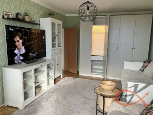 Pronájem bytu 1+1, Prostějov, Družstevní, 39 m2