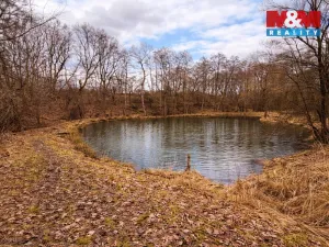 Prodej rybníku, Křečovice - Vlkonice, 68525 m2