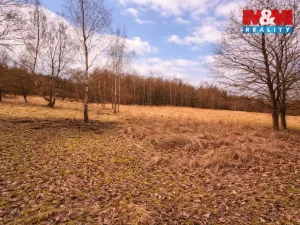 Prodej rybníku, Křečovice - Vlkonice, 68525 m2