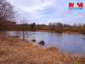 Prodej rybníku, Křečovice - Vlkonice, 68525 m2
