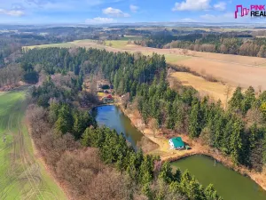 Prodej chaty, Rychnov nad Kněžnou - Panská Habrová, 95 m2