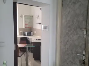 Pronájem bytu 2+1, Praha - Vinohrady, Lublaňská, 60 m2