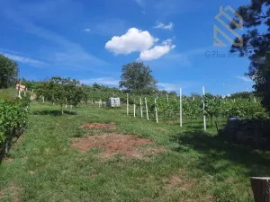 Prodej rodinného domu, Velké Žernoseky, 235 m2