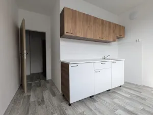 Pronájem bytu 1+1, Jirkov, Ervěnická, 36 m2