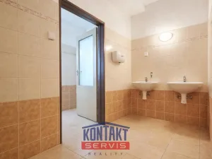 Pronájem kanceláře, České Budějovice, Rudolfovská tř., 225 m2