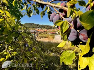 Prodej chaty, Lysice, 70 m2