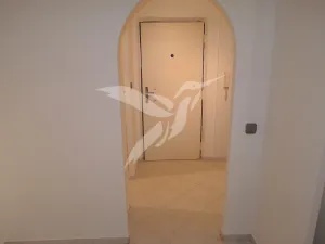 Pronájem bytu 1+kk, Plzeň, Tachovská, 27 m2