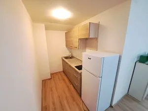 Pronájem bytu 1+kk, Praha - Vysočany, U vinných sklepů, 28 m2