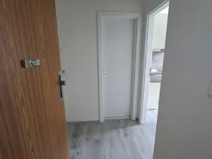 Pronájem bytu 1+kk, Praha - Žižkov, Krásova, 14 m2