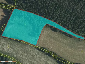 Prodej lesa, Strmilov, 8914 m2