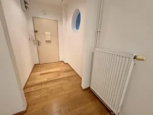 Pronájem bytu 4+kk, Ostrava - Hrabůvka, Krakovská, 100 m2