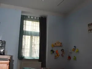 Dražba bytu 6+kk a větší, Praha - Vršovice, Slovinská, 280 m2