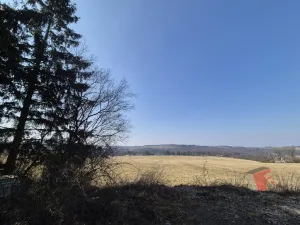 Prodej chaty, Hradištko, K Budákovu, 35 m2