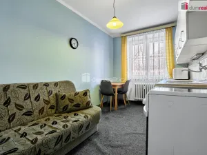 Prodej bytu 2+1, Ostrov, Horská, 63 m2