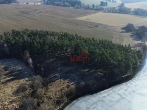 Prodej pozemku, Čistá, 1294 m2