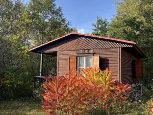 Prodej chaty, Zdelov, 33 m2