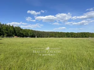 Prodej chaty, Zdelov, 33 m2