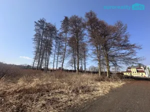 Prodej obchodního prostoru, Karlovy Vary, Sokolovská, 1900 m2