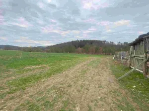 Prodej pozemku, Žinkovy, 4837 m2