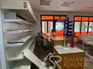 Prodej obchodního prostoru, Zborovy, 233 m2