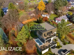 Prodej pozemku pro bydlení, Čisovice - Bojov, 3820 m2