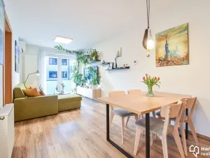 Pronájem bytu 2+kk, Olomouc, Třída Jiřího Pelikána, 53 m2