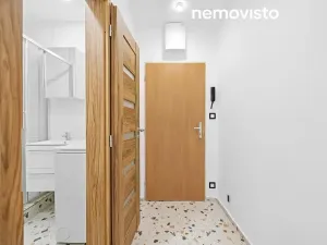 Pronájem bytu 1+kk, Ostrava, Resslova, 23 m2